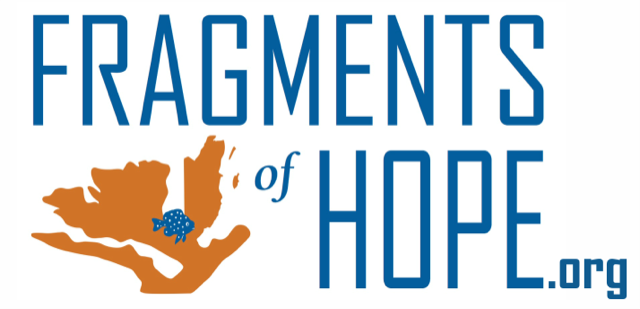 FOH logo dot org | Fragments of Hope