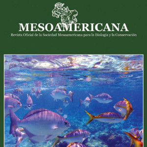 Mesoamericana Document